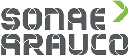 sonae arauco