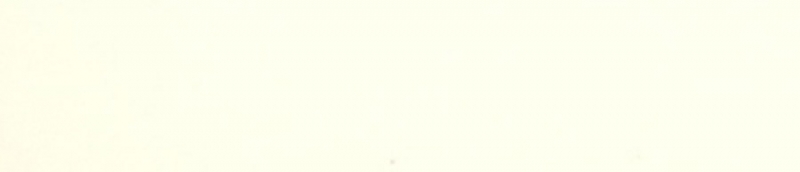 orla-proadec-abs-329L