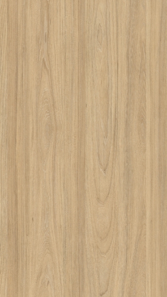 4539-termolaminado-arpa