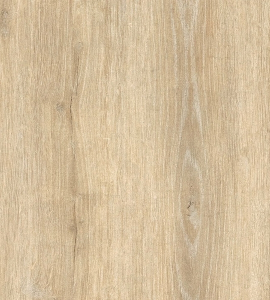 clicwall H784 W06 Robison Oak Light Natural