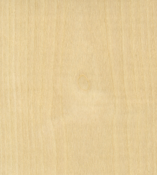 folha-madeira-natural-betula-desenrolada