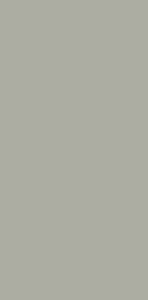 L021-pearl-grey-innovus