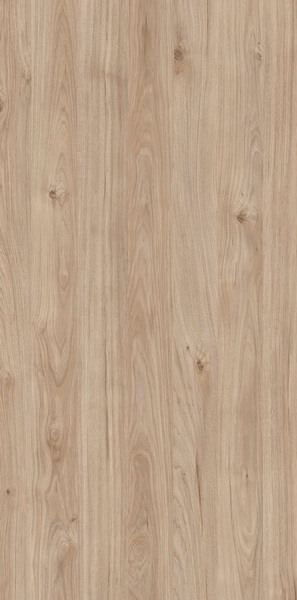 M6282-cosmopolitan-innovus