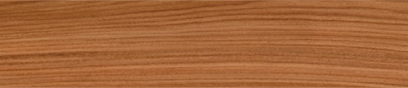 Orla-Palissandro-dos-Santos